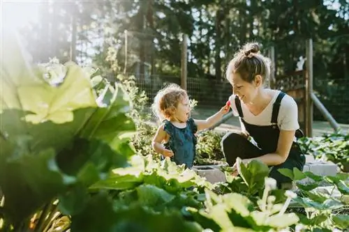 10 крутых товаров от компании-поставщика Gardener’s, которые можно купить для вашего любимого зеленого пальца