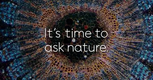 Биомимикрия - AskNature. Org Биомимикрия - AskNature. Org