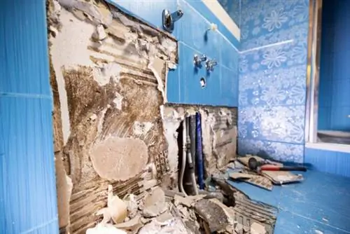 Выбросить после потопа