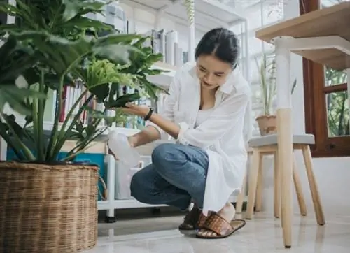 как сделать звукоизоляцию комнаты