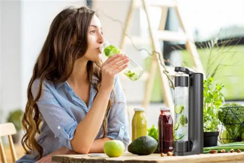 Домашняя машина для приготовления газированных напитков Drinkpod Fizzpod