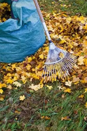 6 вещей, которые нужно знать, прежде чем сжигать листья этой осенью