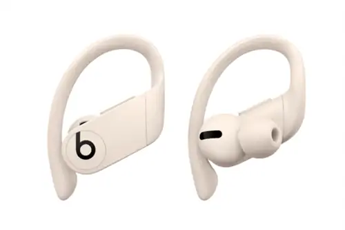 Предложения Roundup Target 11: 1 Option: беспроводные наушники Beats Powerbeats Pro