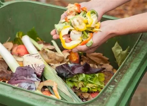 компостирование 101