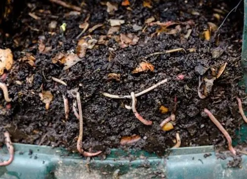 компостирование 101