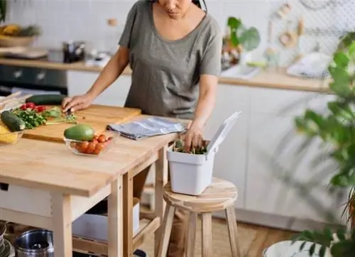 компостирование 101