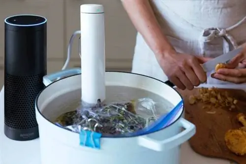 Лучший вариант кухни в Черную пятницу: Breville CS20001 Joule Sous Vide