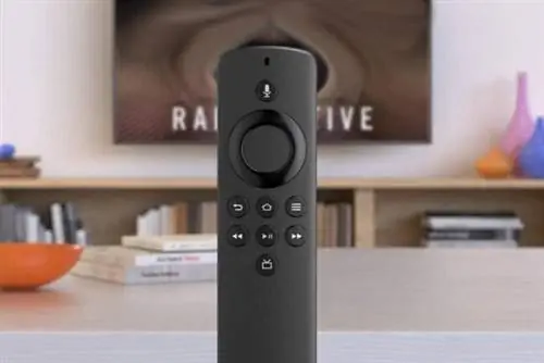 Deals_Roundup_Alexa_11_23_Fire TV Stick Lite