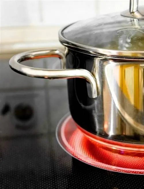 Газовая или электрическая плита: какой прибор более энергоэффективен?