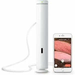 Лучший вариант технических подарков: Breville CS20001 Joule Sous Vide