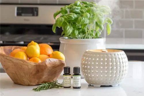 Сводка предложений 12:6 Ellia Gather Ultrasonic Aroma Diffuser