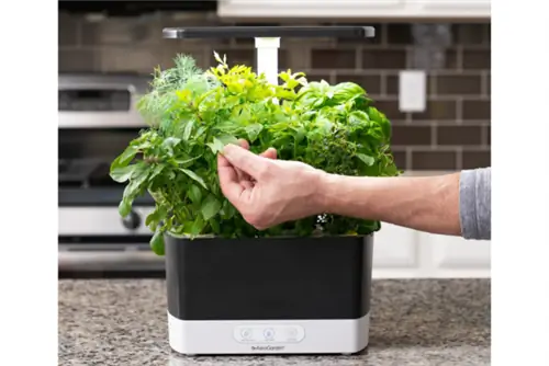 Обзор сделок 12:6 AeroGarden Harvest