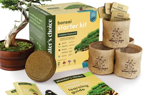 Вариант сводки предложений 12:6: стартовый набор Planters’ Choice Bonsai