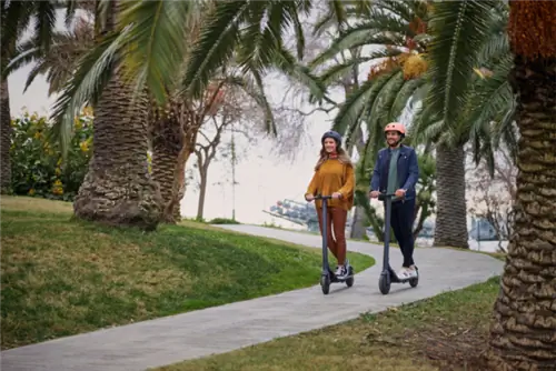 Вариант сводки предложений 1:19: Segway Ninebot KickScooter E22 + Seat