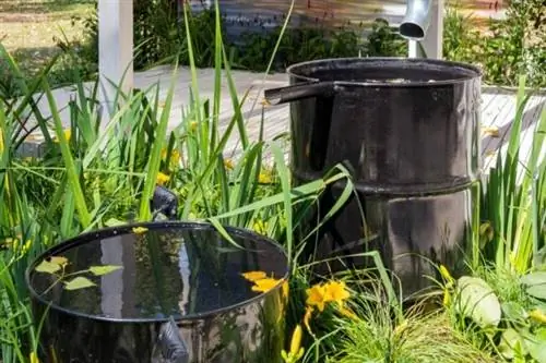 Законно ли собирать дождевую воду