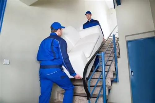 вы даете чаевые за доставку мебели
