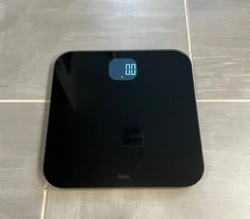 Весы FitBit Aria