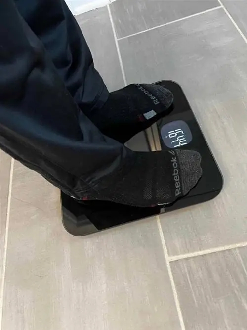 Весы Fitbit Aria