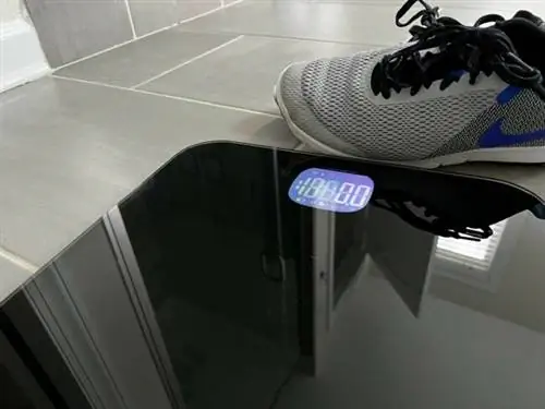 Fit Bit Aria Scale