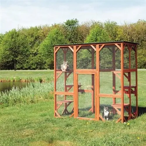 12 причин, по которым мы любим тренд Barkitecture от Pinterest