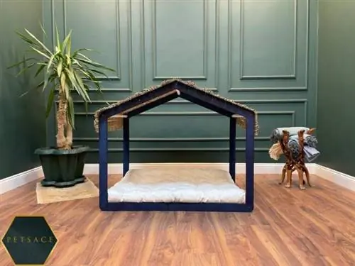12 причин, по которым мы любим тренд Barkitecture от Pinterest