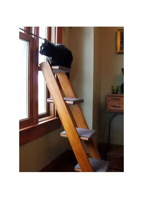 12 причин, по которым мы любим тренд Barkitecture от Pinterest