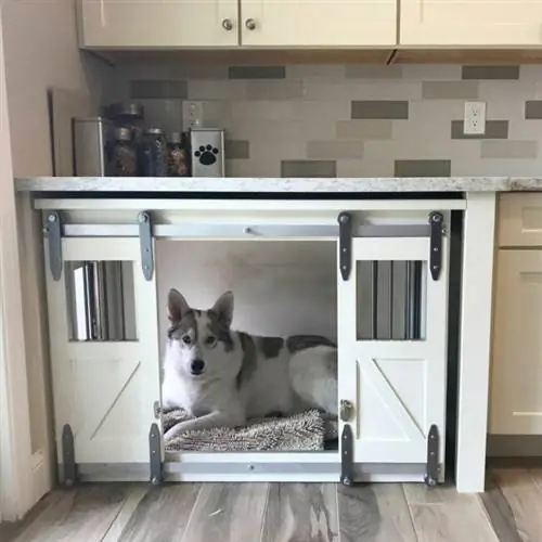 12 причин, по которым мы любим тренд Barkitecture от Pinterest
