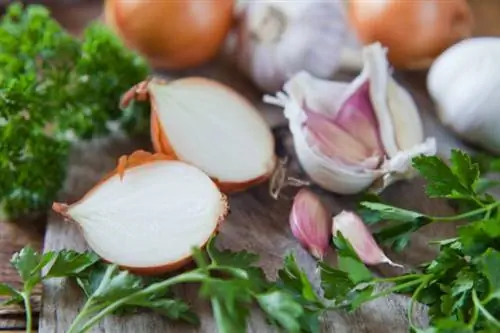 продукты, которые никогда нельзя пылесосить