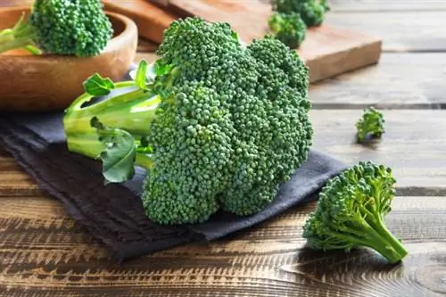 продукты, которые нельзя упаковывать в вакуум