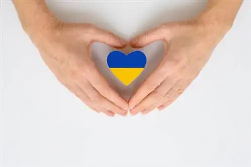 Как поддержать украинских хозяев Airbnb