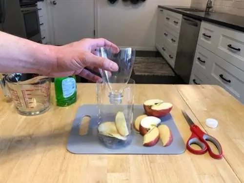ловушка для мух своими руками из пластиковой бутылки