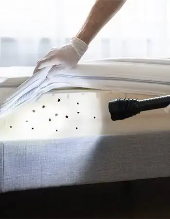 Укусы, но без признаков насекомых