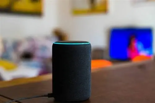 Alexa Оповещение о вторжении