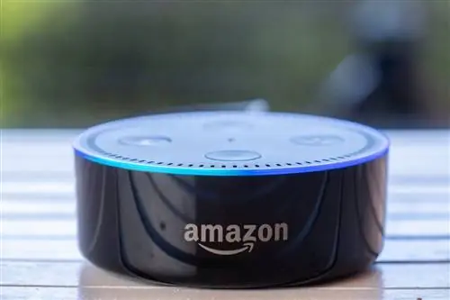 Решено! Что такое оповещение о вторжении Alexa и насколько оно эффективно?