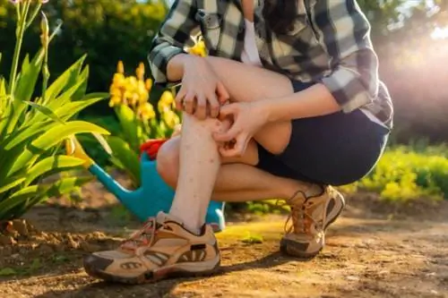 10 причин, по которым садоводство может вызвать у вас заболевание
