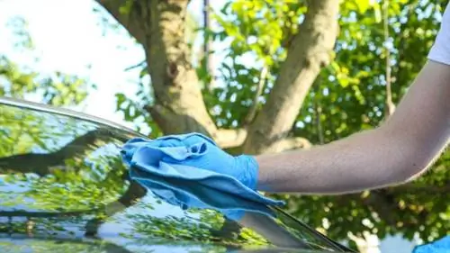 как удалить древесную смолу