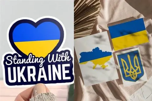 Хочешь помочь народу Украины Хочешь помочь народу Украины
