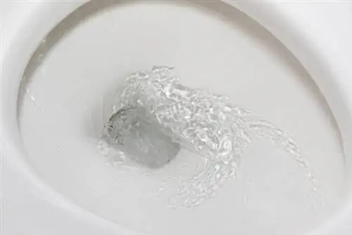 туалеты с низким расходом воды
