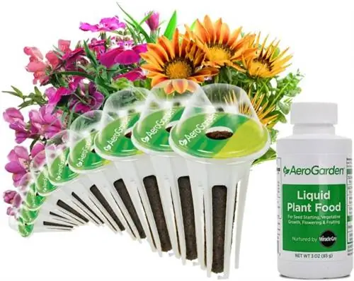 11 растений, о которых вы не знали, что их можно вырастить в AeroGarden