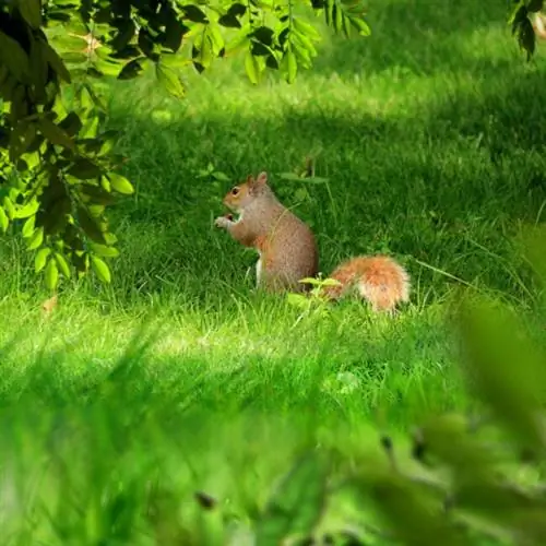 нельзя косить