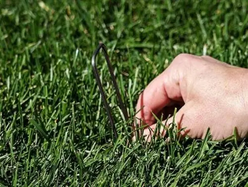 пейзажная ткань