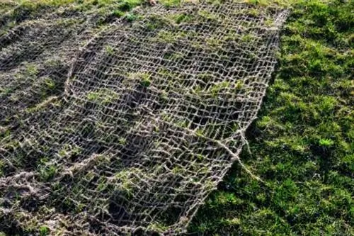 пейзажная ткань