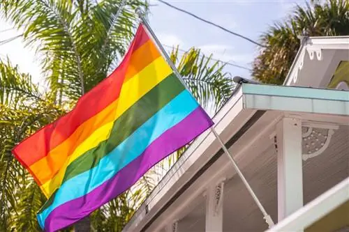 5 способов, которыми домовладельцы могут поддержать сообщество LGBTQIA+ в течение месяца прайда