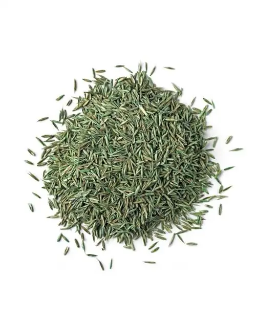 Выберите это быстрорастущее семя травы для мгновенного газона