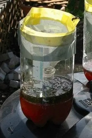 Самодельная ловушка для ос - бутылка из-под газировки