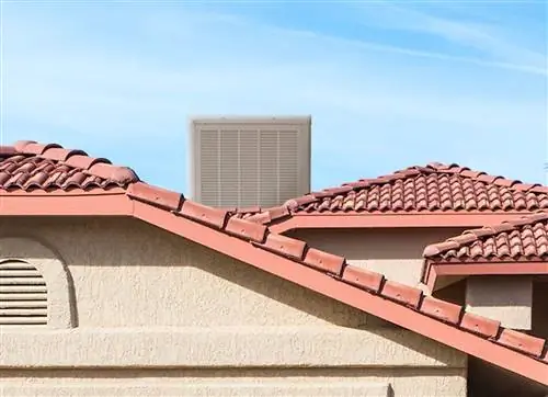 Решено! Что такое болотный охладитель?