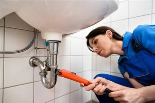 Сколько стоит сантехник