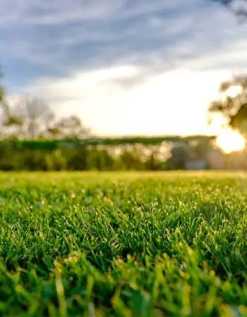 Стоимость аэрации газона Как рассчитать