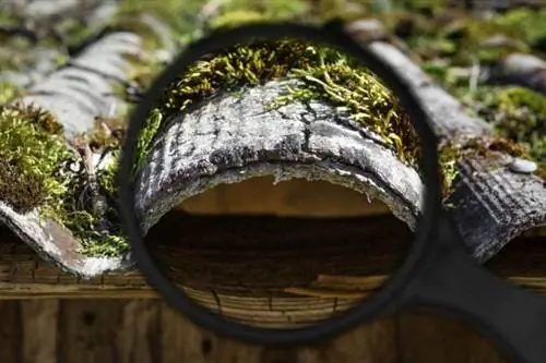 Часто задаваемые вопросы о стоимости удаления асбеста