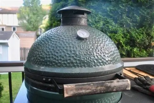 Большое зеленое яйцо